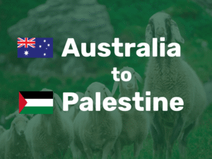 Australia to Palestine