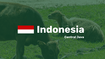 Indonesia Cental Java