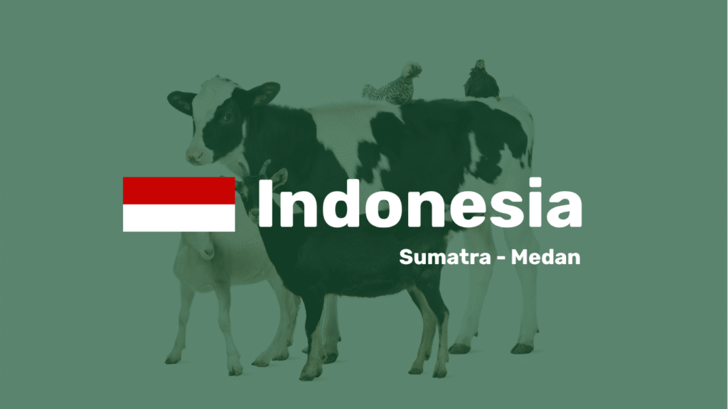 Indonesia Sumatra - Medan
