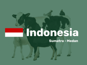 Indonesia Sumatra - Medan
