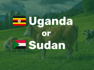 Uganda or Sudan