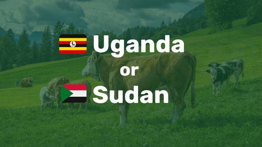 Uganda or Sudan